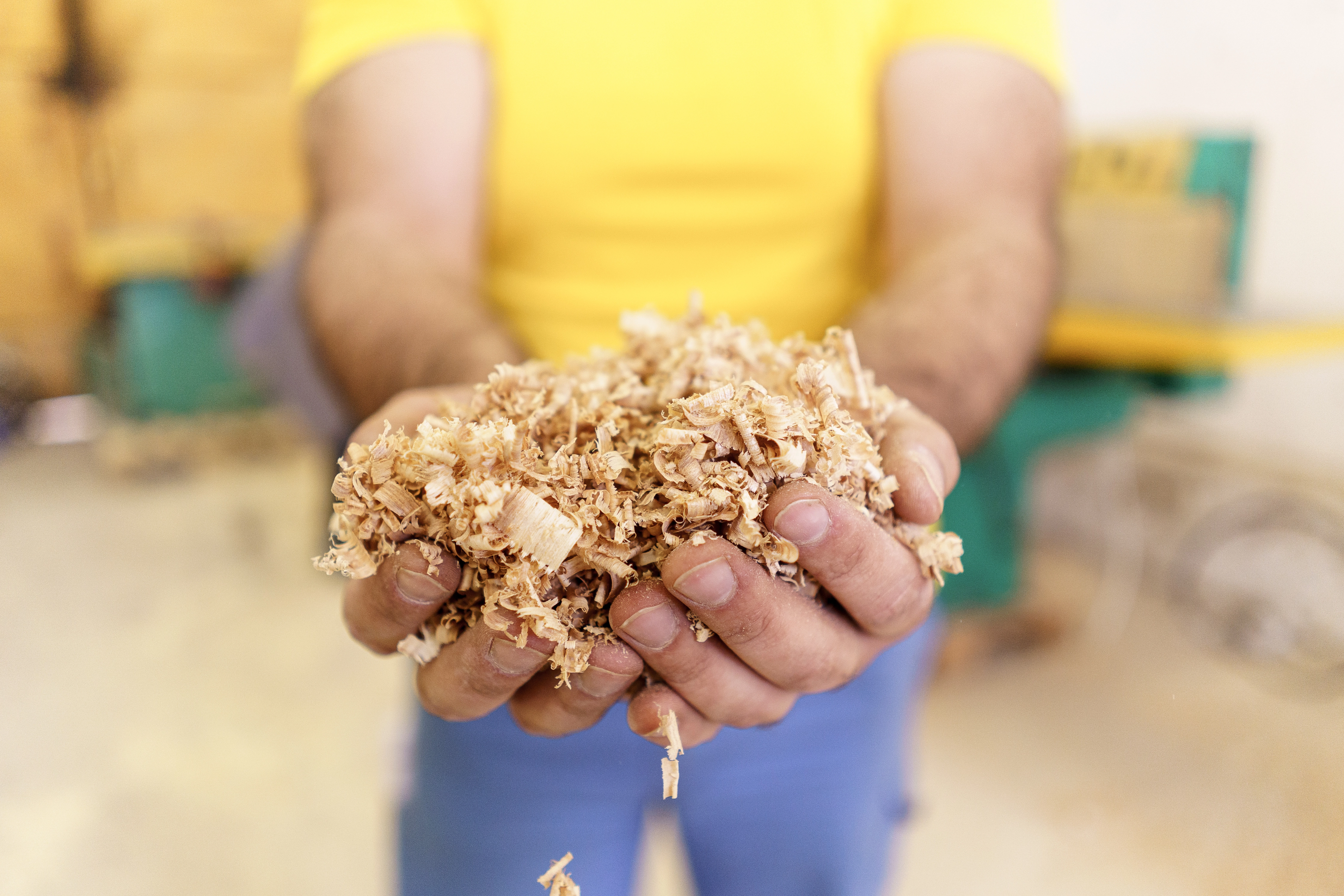 Jaipur Agro Industries Ltd.: Leading the Way in Sustainable Biomass Energy  Solutions 