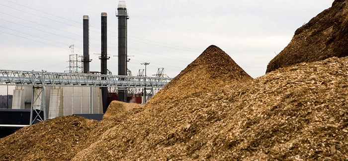 Jaipur Agro Industries Ltd.: Pioneering Sustainable Agro-Waste Recycling and  Biomass Energy Solutions 