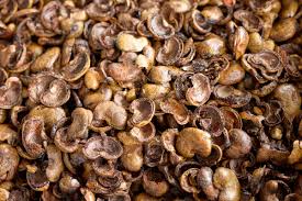 Cashew shells